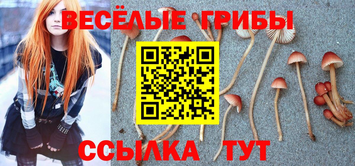 Галлюциногенные грибы ЛСД  Вход с VPN  магазин продажи   Братск 